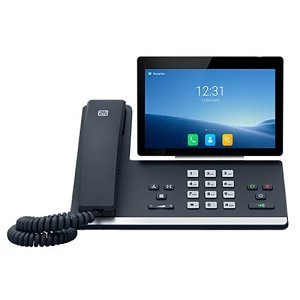 2N IP Phone D7A Series, Intercom Answering Unit Supports Skype and Zoom, Black