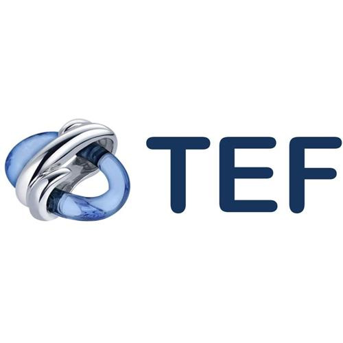 TEF DET-0.6-VENT-UG4 Aspirating Equip